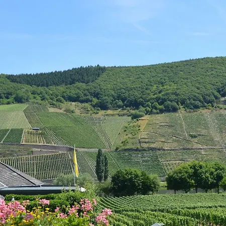 Wein & Gaestehaus Ballmann 3* Trittenheim