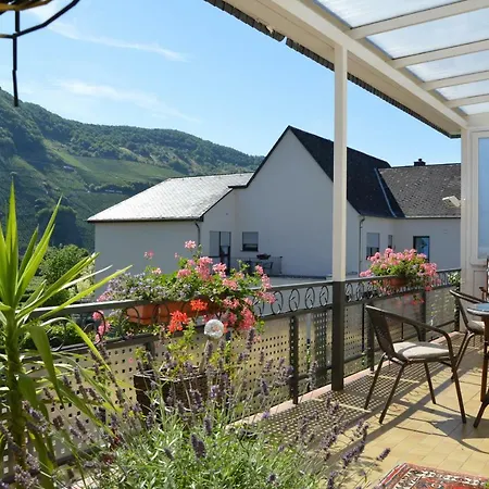 Wein & Gaestehaus Ballmann 3* Trittenheim