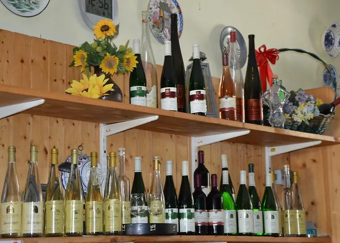 Guest house Wein & Gaestehaus Ballmann 3*